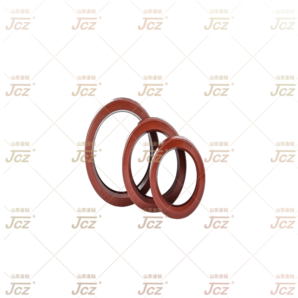 Fluorine Rubber Ring Fluorine Rubber Ring